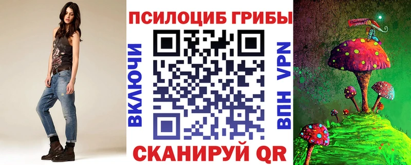 hydra ССЫЛКА Владимир Галлюциногенные грибы Psilocybe где купить