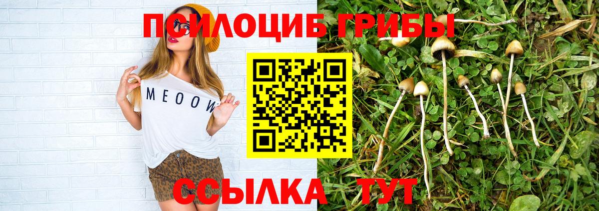 Владимир  купить наркоту  Вход с VPN  Галлюциногенные грибы MAGIC MUSHROOMS 